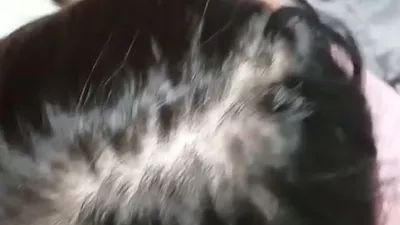 목구멍까지 딥스롯에다 얼굴사정 핑베